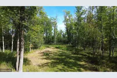 Tbd Sheshebe Road, McGregor, MN 55760 - Photo 14