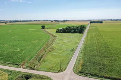 18413 60th Street SW, Prinsburg, MN 56281 - Photo 4