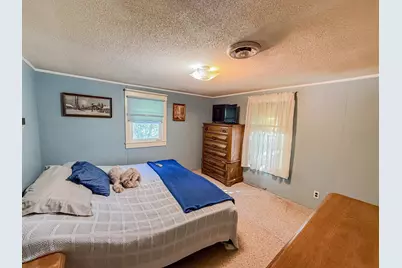 18413 60th Street SW, Prinsburg, MN 56281 - Photo 30
