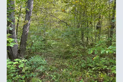 Tbd 235th Place, McGregor, MN 55760 - Photo 2