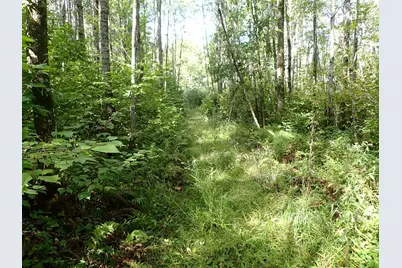 3329 Reuben Johnson Road, Kettle River, MN 55757 - Photo 18