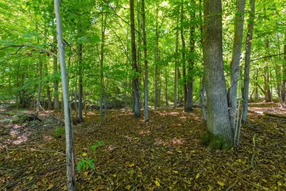 0 170th Street, Spring Valley, WI 54767 - Photo 4