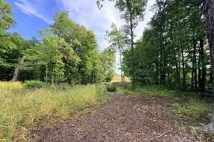 0 Harlee Ct Lot 3, Waconia, MN 55387 - Photo 6