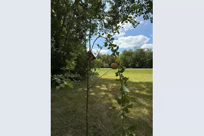 20366 County Road 12, Bovey, MN 55709 - Photo 4