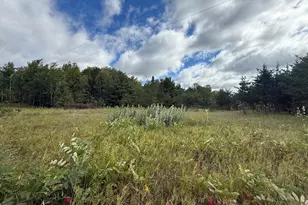 Tbd 159th Ave, Bagley, MN 56621 - Photo 1