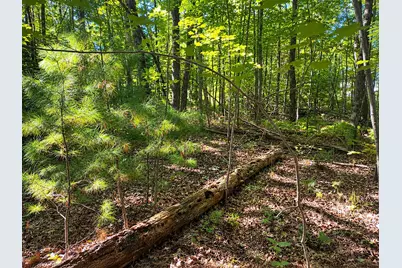 Lot 1 & 2 Bluegill Avenue N, Webster, WI 54893 - Photo 10