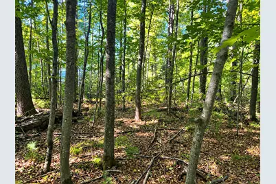 Lot 1 & 2 Bluegill Avenue N, Webster, WI 54893 - Photo 1