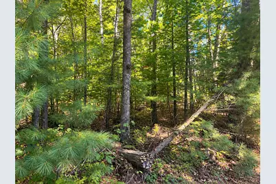 Lot 1 & 2 Bluegill Avenue N, Webster, WI 54893 - Photo 16