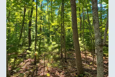 Lot 1 & 2 Bluegill Avenue N, Webster, WI 54893 - Photo 20