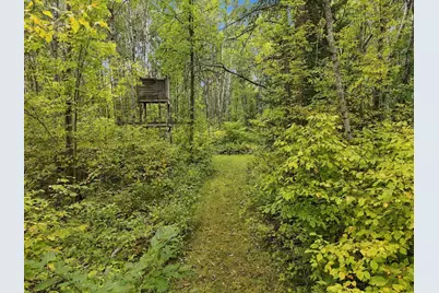 26179 Raleigh Hill Road, Shevlin, MN 56676 - Photo 58