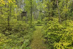 26179 Raleigh Hill Rd, Shevlin, MN 56676 - Photo 58