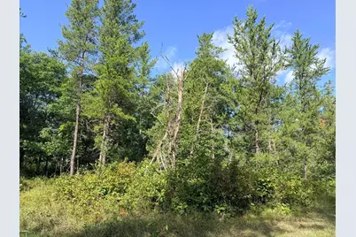 Tbd County 119, Nevis, MN 56467 - Photo 14