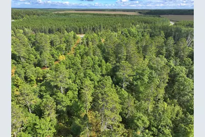 Tbd County 119, Nevis, MN 56467 - Photo 10