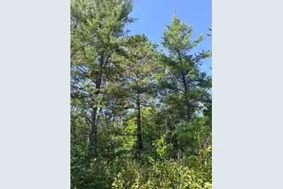 Tbd County 119, Nevis, MN 56467 - Photo 12