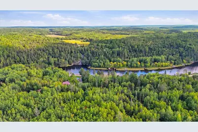 10255 Ash River Trail, Orr, MN 55771 - Photo 8