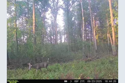 Xxx Fleming Logging Road, Hinckley, MN 55037 - Photo 6