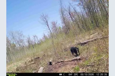Xxx Fleming Logging Road, Hinckley, MN 55037 - Photo 10