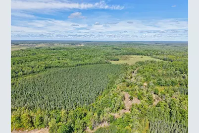 Xxx Fleming Logging Road, Hinckley, MN 55037 - Photo 66