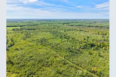 Xxx Fleming Logging Road, Hinckley, MN 55037 - Photo 38