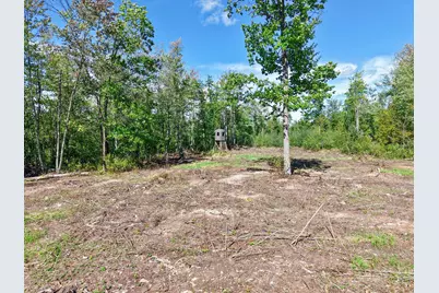 Xxx Fleming Logging Road, Hinckley, MN 55037 - Photo 16