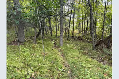 38812 Outback Drive, Laporte, MN 56461 - Photo 76
