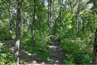 50540 Snow Lake Road, Vining, MN 56588 - Photo 56