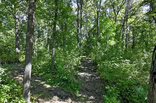 50540 Snow Lake Rd, Vining, MN 56588 - Photo 56