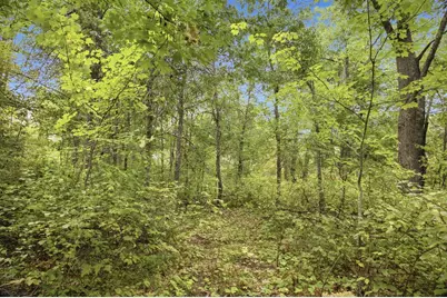 Lot 2 Little McGraw Lake Rd, Danbury, WI 54830 - Photo 4