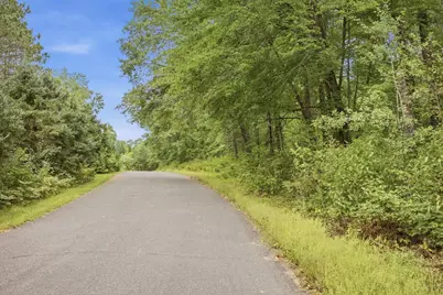 Lot 2 Little McGraw Lake Rd, Danbury, WI 54830 - Photo 28