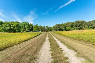13890 County Rd 1 NW, Evansville, MN 56326 - Photo 4