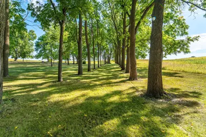 13890 County Road 1 NW, Evansville, MN 56326 - Photo 56