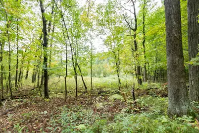 20 Acres 153rd Avenue, Balsam Lake, WI 54810 - Photo 8