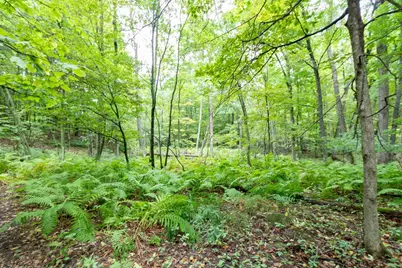 20 Acres 153rd Avenue, Balsam Lake, WI 54810 - Photo 4