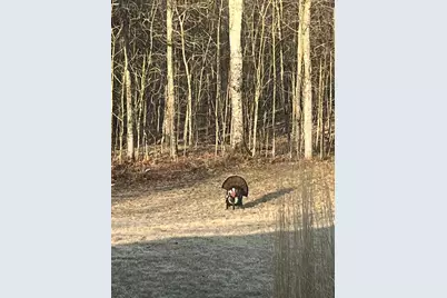 20 Acres 153rd Avenue, Balsam Lake, WI 54810 - Photo 24