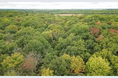 20 Acres 153rd Avenue, Balsam Lake, WI 54810 - Photo 18