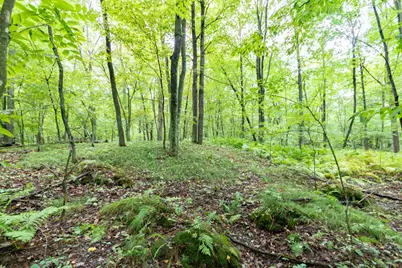 20 Acres 153rd Avenue, Balsam Lake, WI 54810 - Photo 10