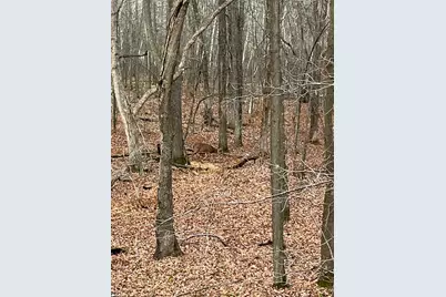 20 Acres 153rd Avenue, Balsam Lake, WI 54810 - Photo 22