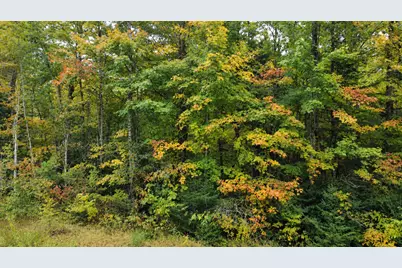 Lot 14 Beaver Drive, Brainerd, MN 56401 - Photo 8