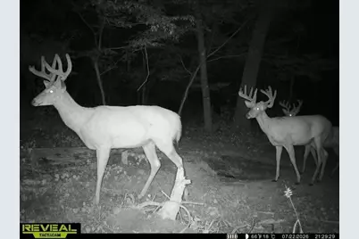 Tbd County Road I, Pepin, WI 54759 - Photo 12