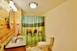46295 Acacia Trail, Stanchfield, MN 55080 - Photo 14