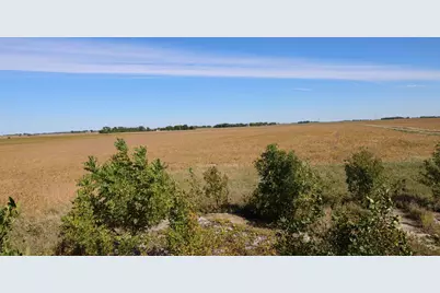 81893 470th Street, Hector, MN 55342 - Photo 10