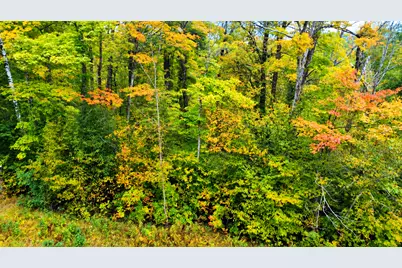 Lot 12 Beaver Drive, Brainerd, MN 56401 - Photo 8