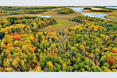 Lot 12 Beaver Drive, Brainerd, MN 56401 - Photo 6