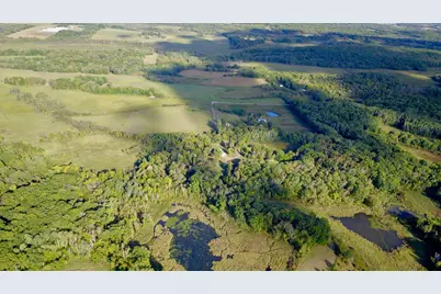 28673 325th Avenue, Long Prairie, MN 56347 - Photo 4