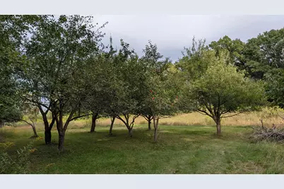 361 Oak Knoll Drive, Marine on Saint Croix, MN 55047 - Photo 10