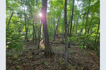 Tbd Deer Trail, Garrison, MN 56450 - Photo 1