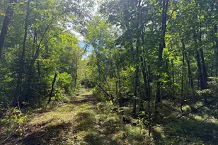 Tbd (A) Sand Creek Rd, Bruno, MN 55712 - Photo 1