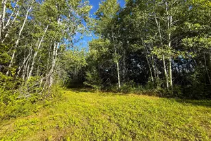 12084 County Road 144, Brainerd, MN 56401 - Photo 1