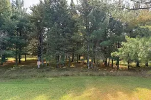 52855 145th Pl, Tamarack, MN 55787 - Photo 46