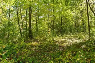 24293 Deerwood Ln, Deerwood, MN 56444 - Photo 46